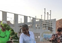 נטיעות בעיר