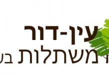 ליהנות ממרחב ירוק עם צמחיה הידרופונית