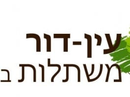 ליהנות ממרחב ירוק עם צמחיה הידרופונית