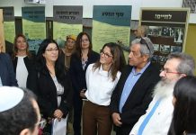 פעם שלישית גלידה