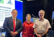 שמאים שמאים