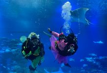 צוללים קדימה