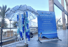 גאווה בינלאומית במפרץ אילת