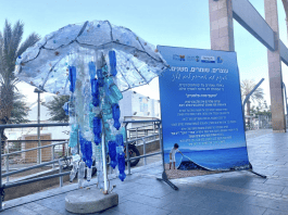 גאווה בינלאומית במפרץ אילת