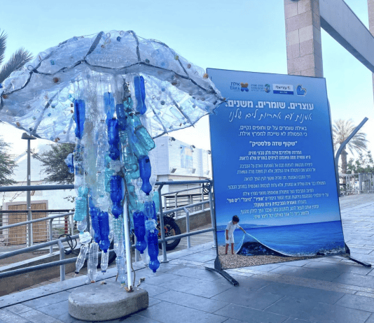 גאווה בינלאומית במפרץ אילת